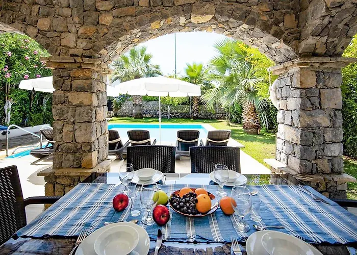 Tara אולודניץ